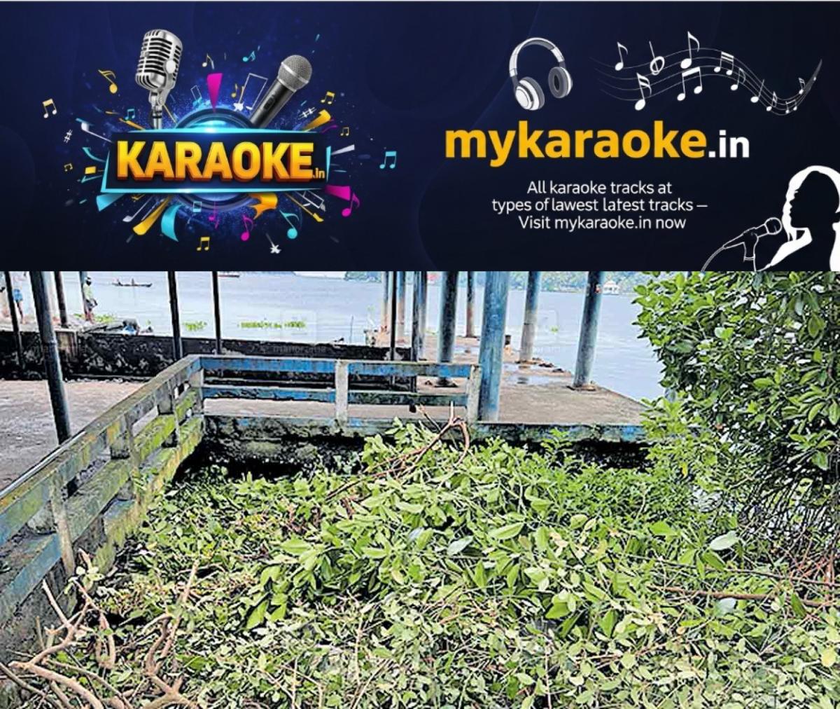 newskerala.net_1755410170_marine-drive-mangrove-destruction