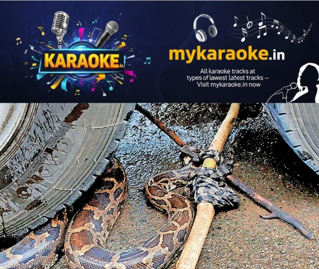 newskerala.net_1755414801_python