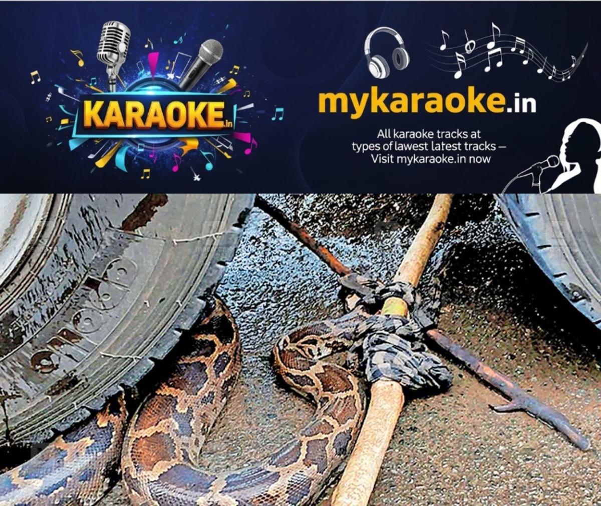 newskerala.net_1755414801_python
