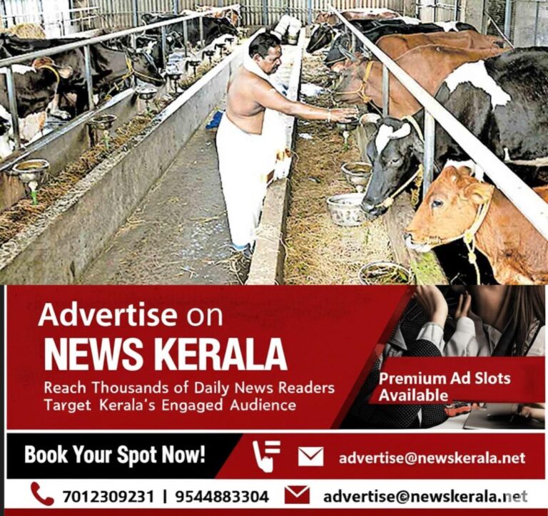 newskerala.net_1755417300_mavelikara-cow-fram