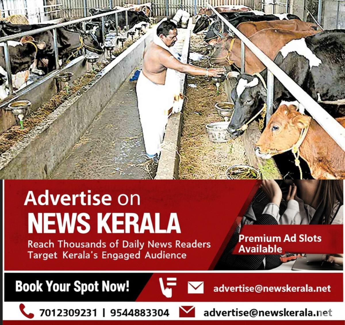 newskerala.net_1755417300_mavelikara-cow-fram