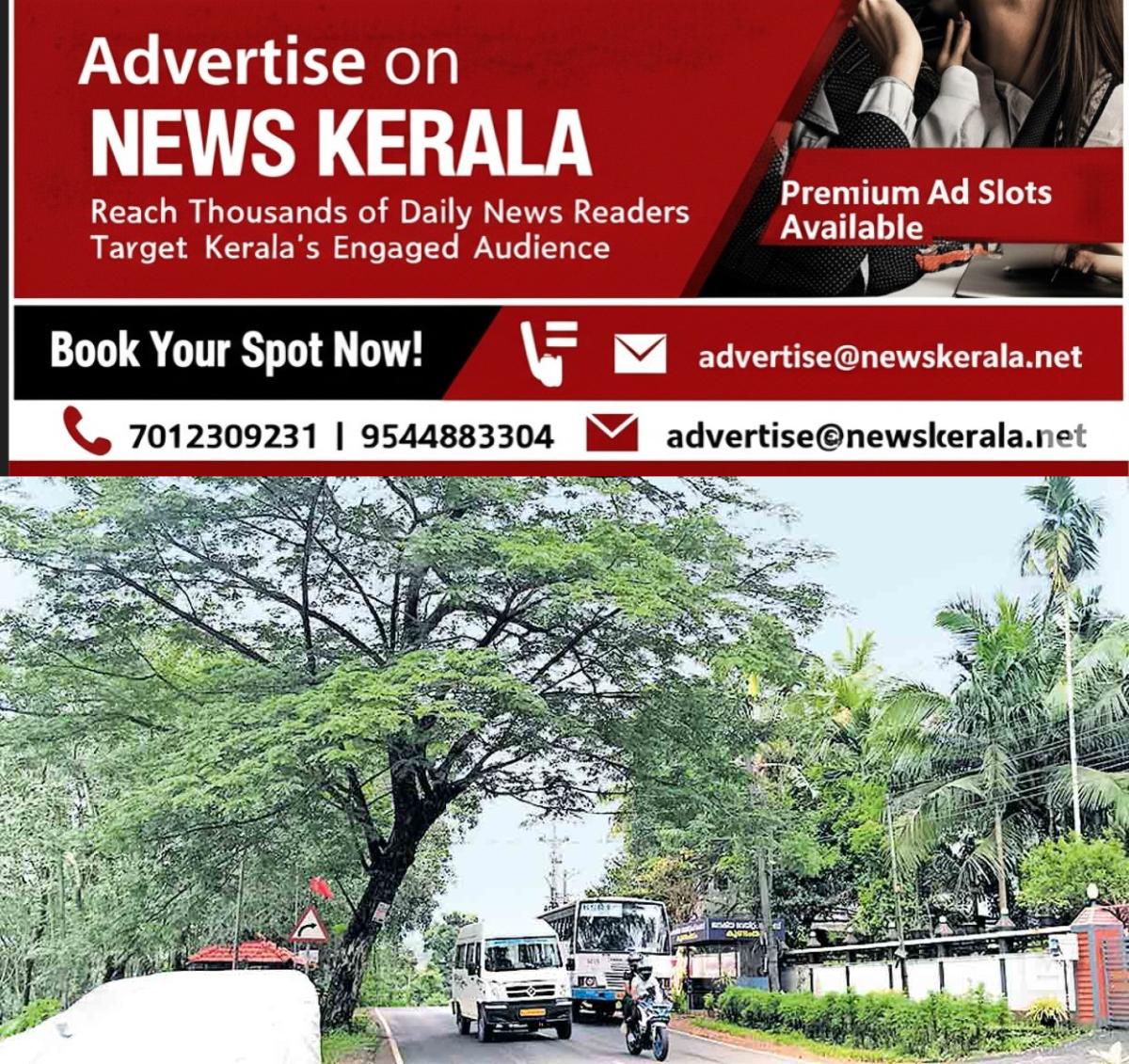 newskerala.net_1755418380_danger-tree