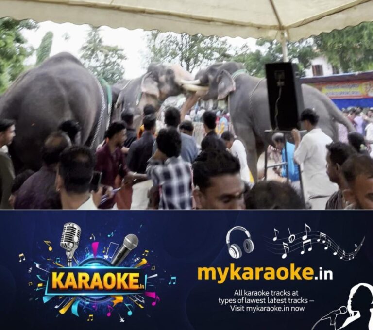 newskerala.net_1755420177_w-1280h-720format-jpgimgid-01k2vjhe7gy3g7pydtckqktxfaimgname-elephant-ran-amoke-1755419556080.pn