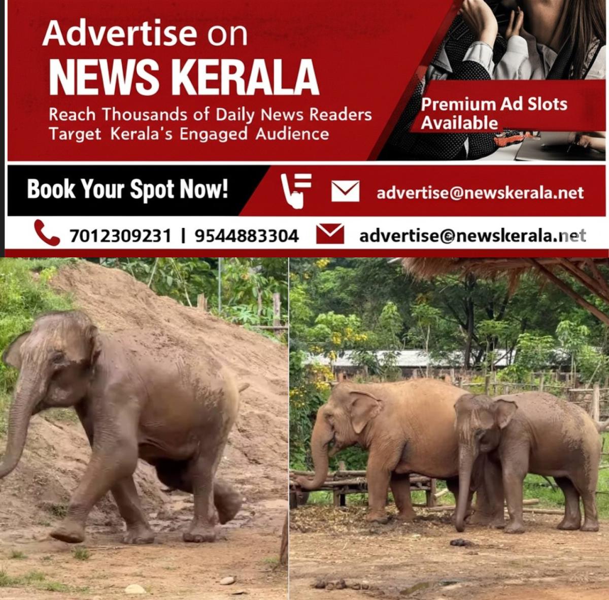 newskerala.net_1755423142_w-1280h-720format-jpgimgid-01k2vn5bd8ng4qq6agyre12t8cimgname-new-project-20-1755422305704