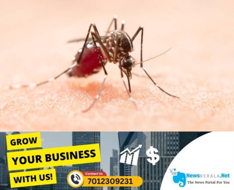 newskerala.net_1755448937_w-1280h-720format-jpgimgid-01jvxrppywfqfvyke794z1sh82imgname-dengue-mosquito-1747976936411