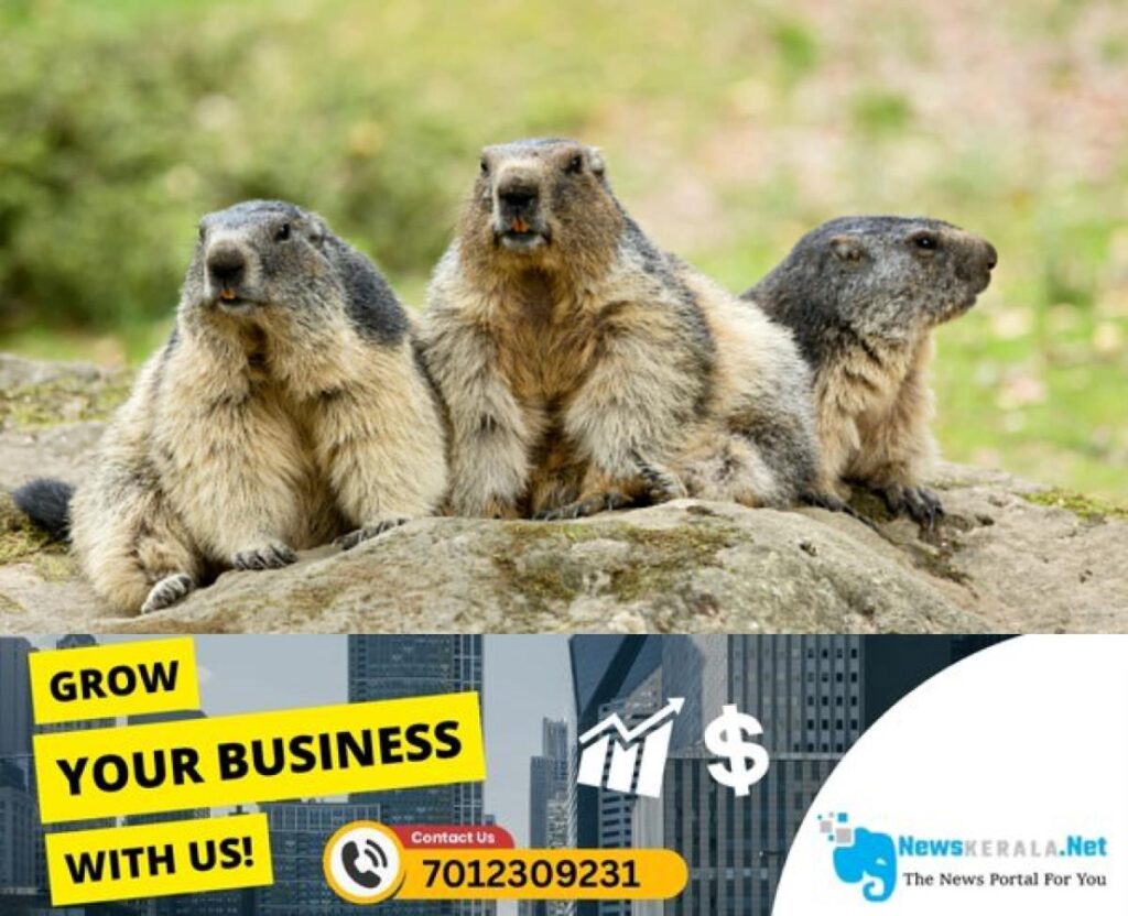 newskerala.net_1755488947_w-1280h-720format-jpgimgid-01k2xmc6gv2pmmbd4w32j2pphtimgname-fotojet-37-1755488590363