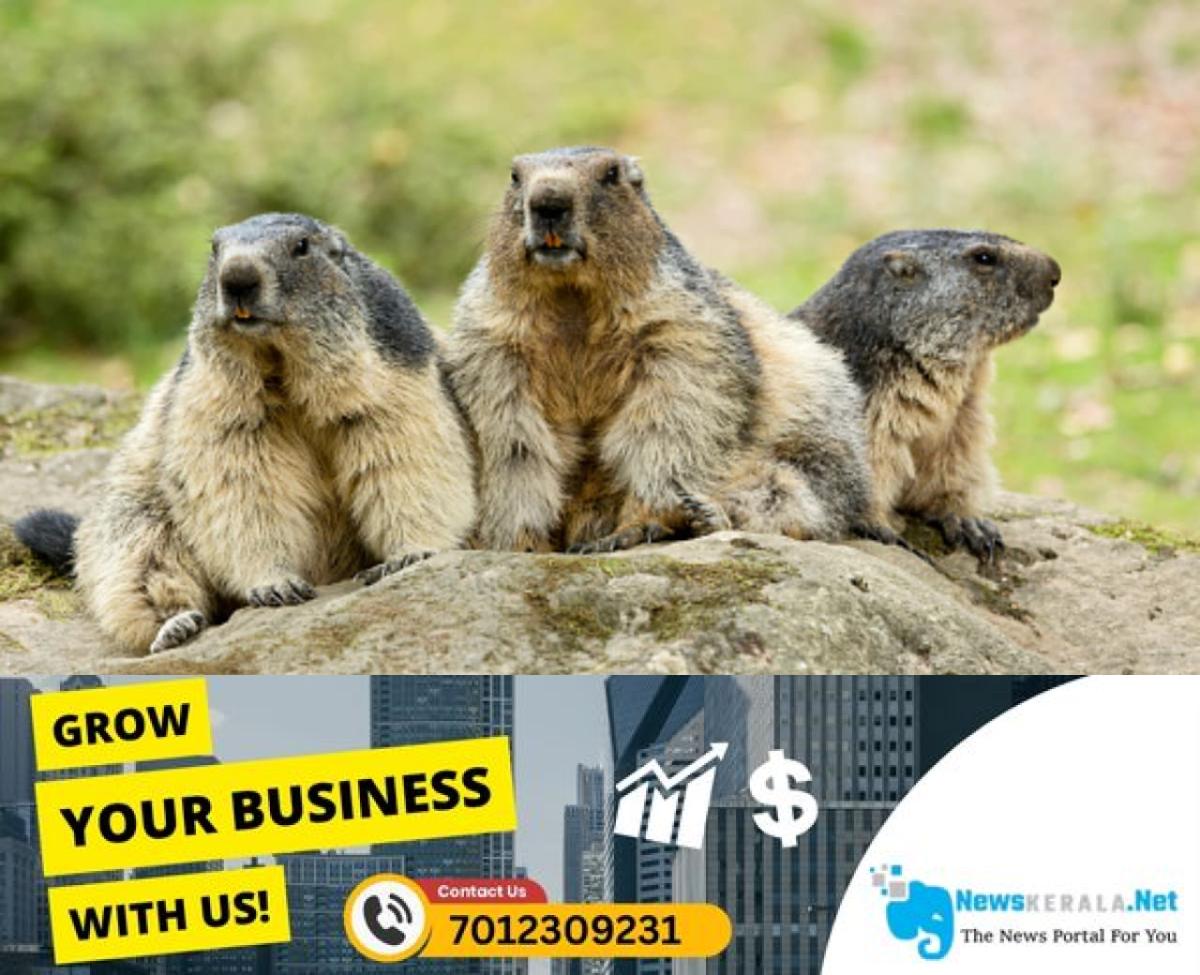 newskerala.net_1755488947_w-1280h-720format-jpgimgid-01k2xmc6gv2pmmbd4w32j2pphtimgname-fotojet-37-1755488590363