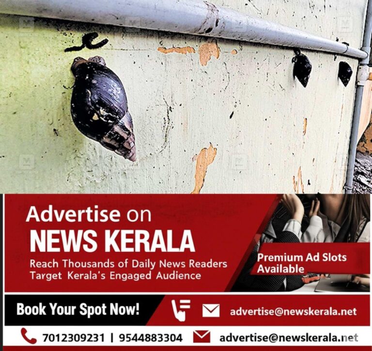 newskerala.net_1755495783_african-snails