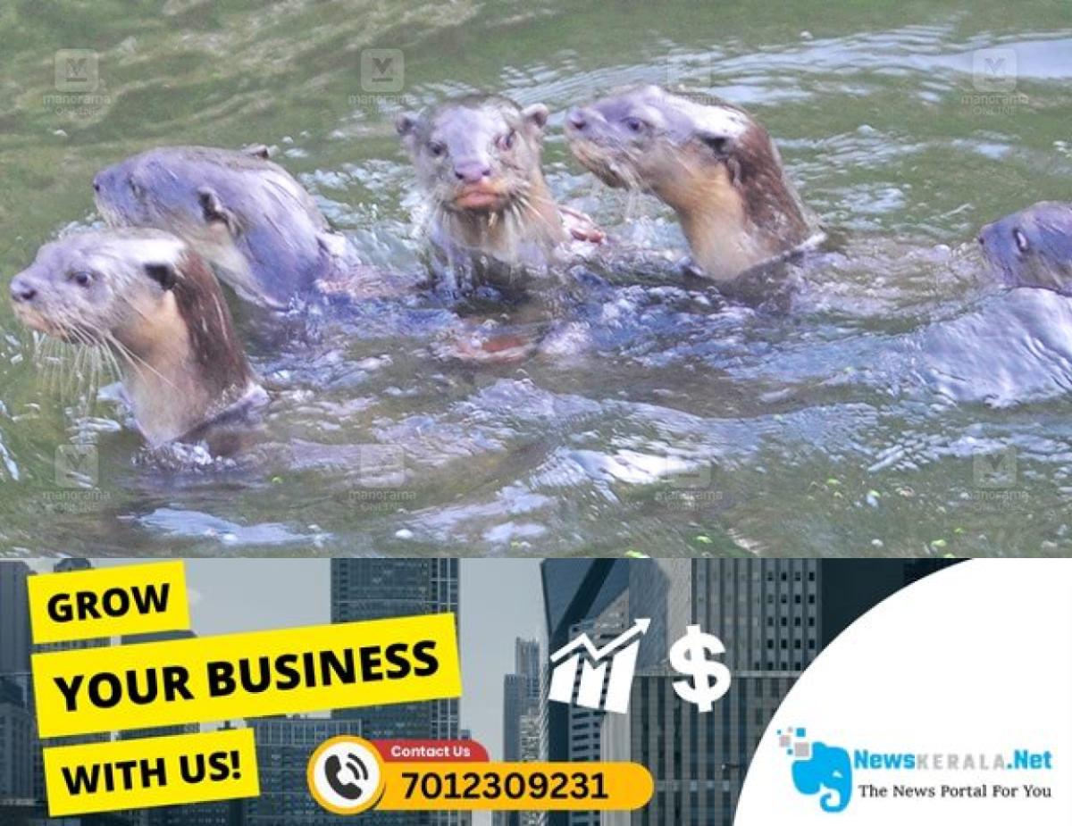 newskerala.net_1755503046_otters-kottayam