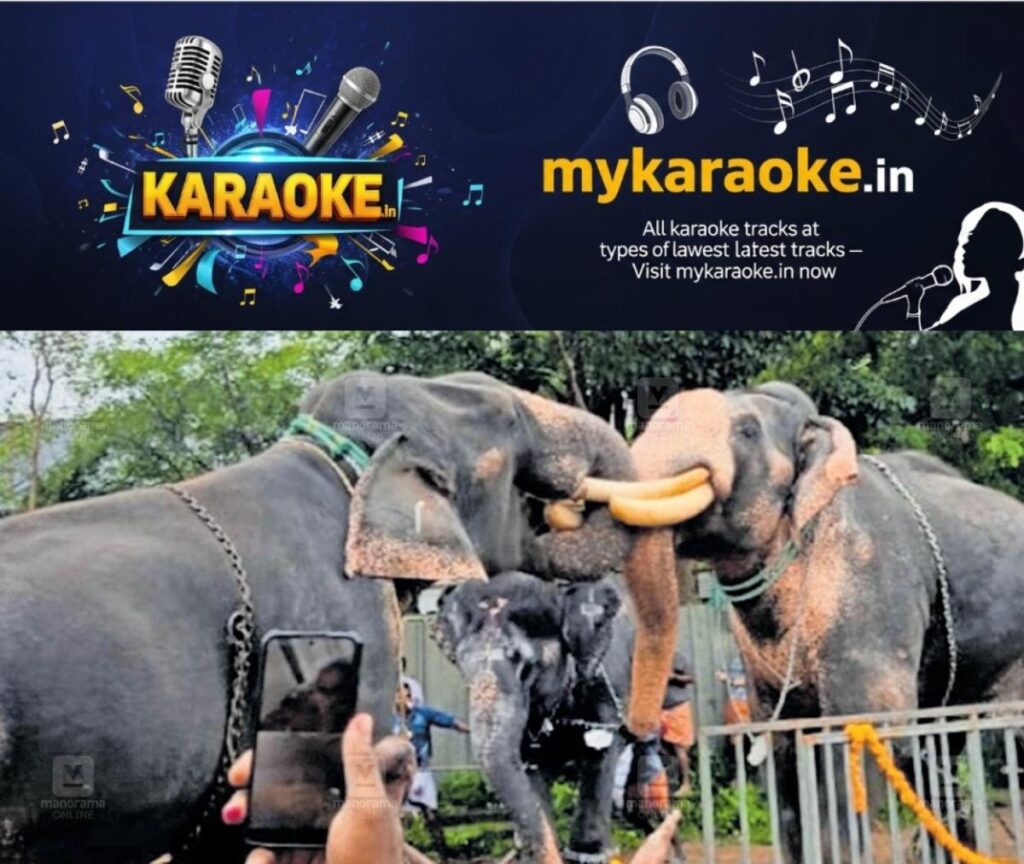 newskerala.net_1755503499_temple-elephant-fight-injuries