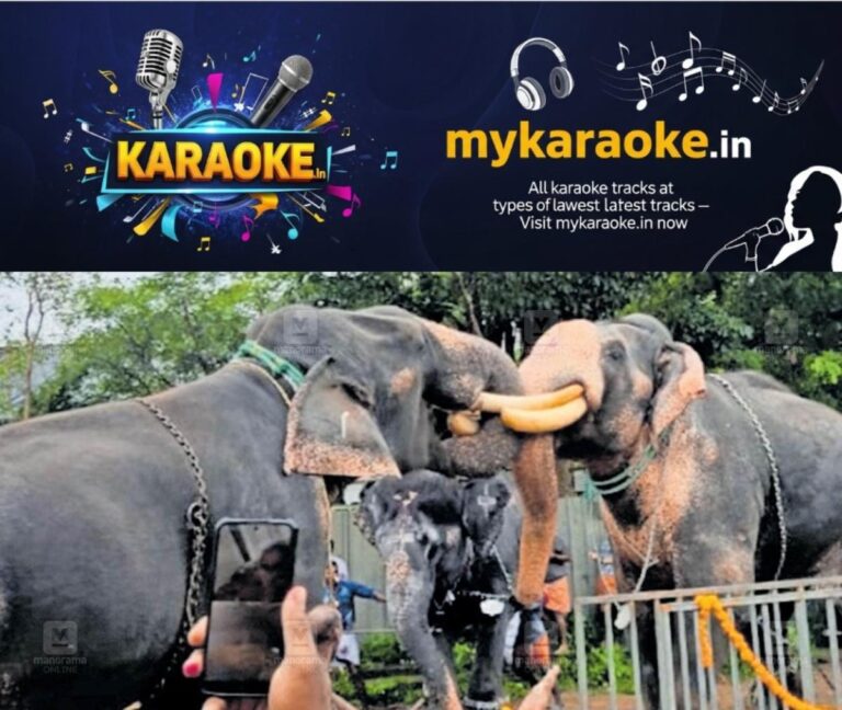 newskerala.net_1755503499_temple-elephant-fight-injuries