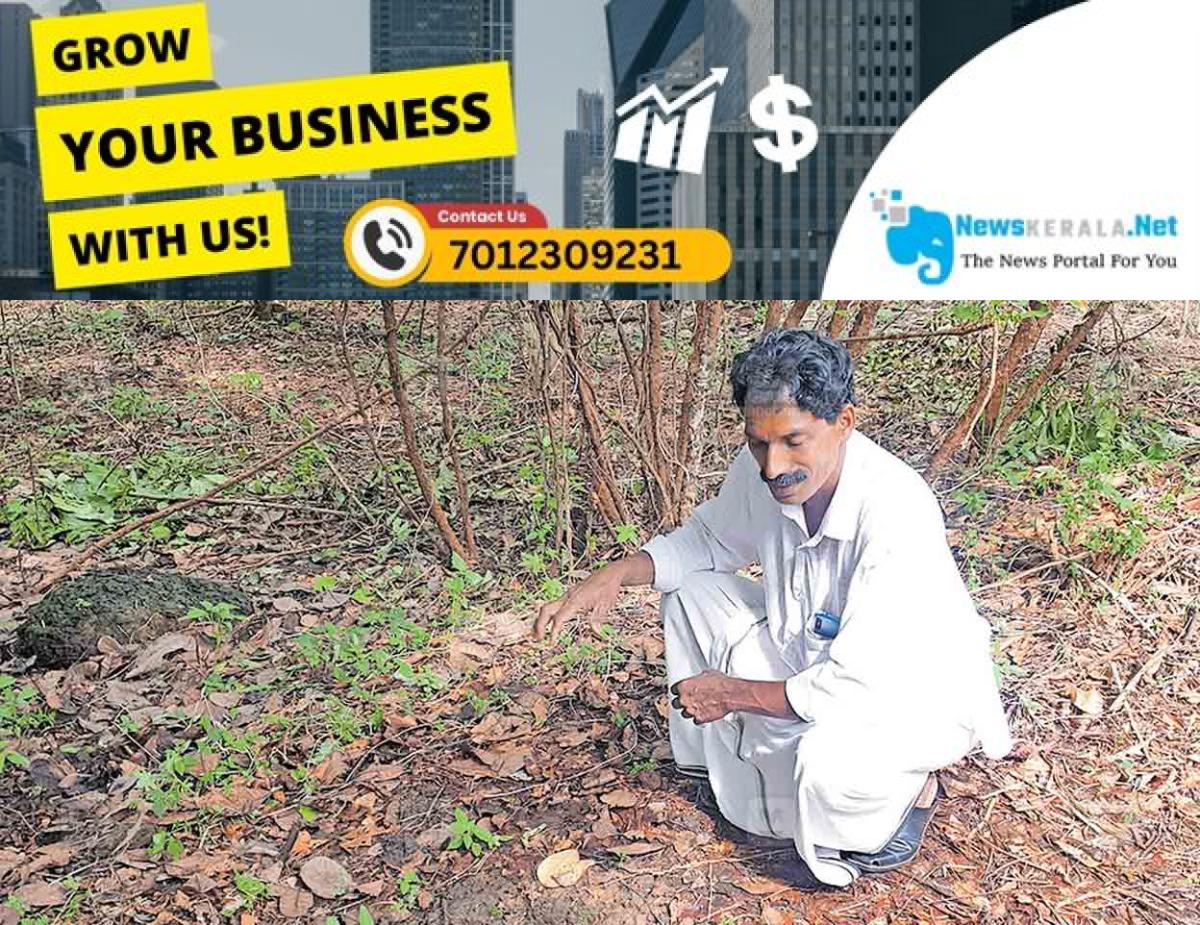 newskerala.net_1755504323_Redstone