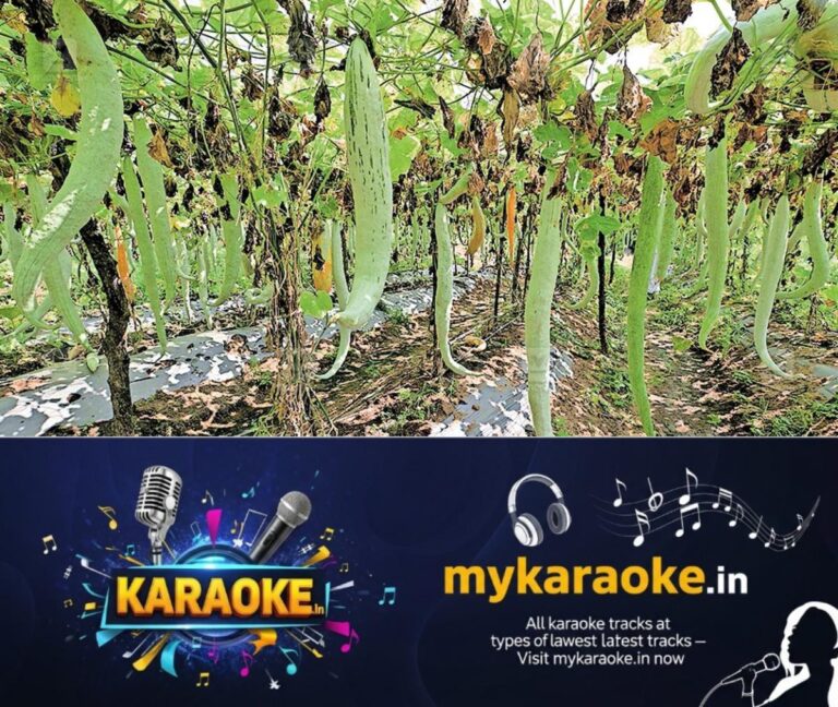newskerala.net_1755505725_elevencherry-snake-gourd