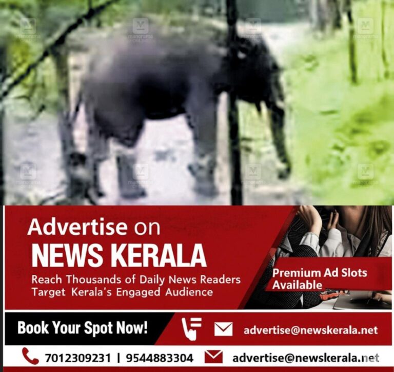 newskerala.net_1755509253_elephant-attacks