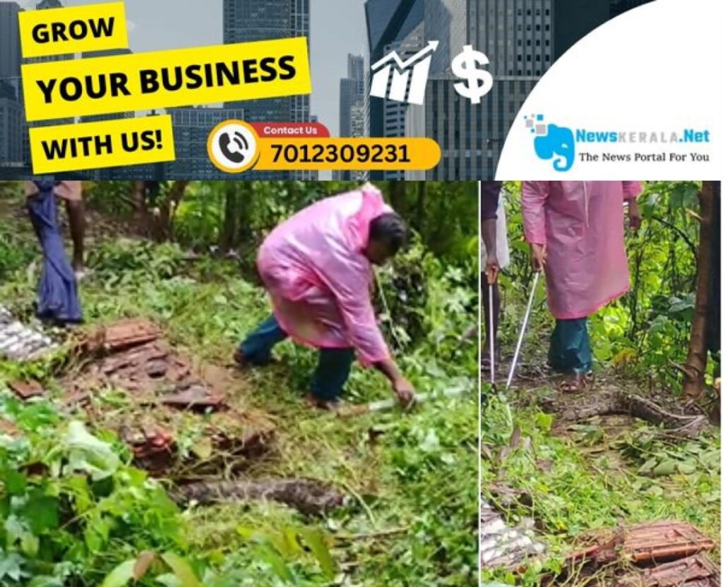 newskerala.net_1755520141_w-1280h-720format-jpgimgid-01k2yhqptb8hecchh7nd0r1tvtimgname-phython-1-1755519376203
