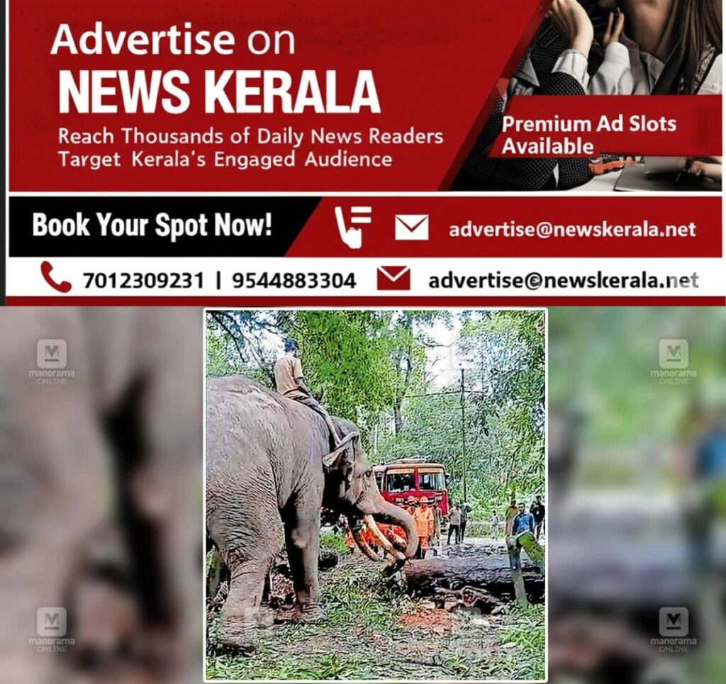 newskerala.net_1755550858_surya-elephant