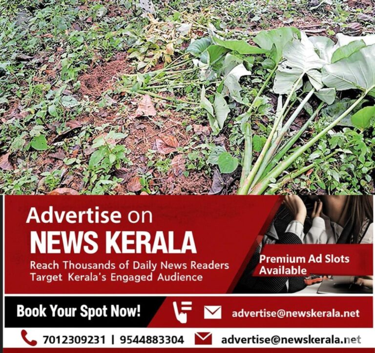 newskerala.net_1755561424_wild-boar-attack