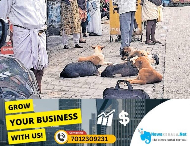 newskerala.net_1755578199_stray-dog-menace-edathua