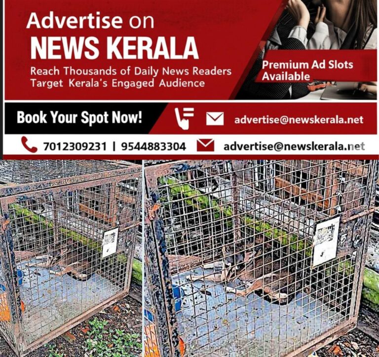newskerala.net_1755588111_ktm-vaikom-stray-dog-issue
