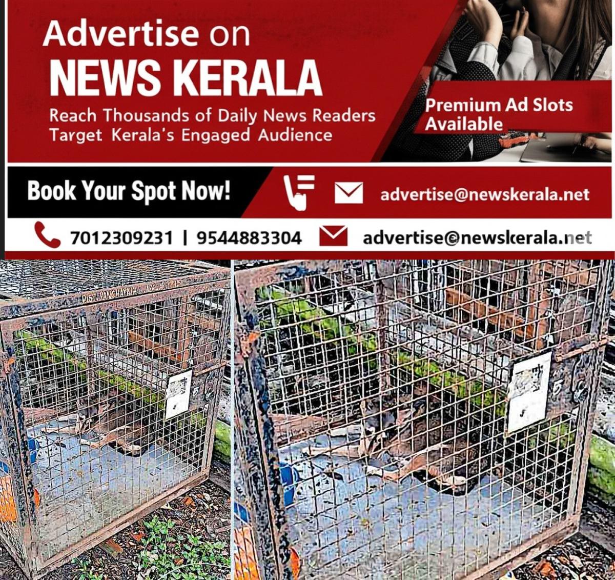 newskerala.net_1755588111_ktm-vaikom-stray-dog-issue