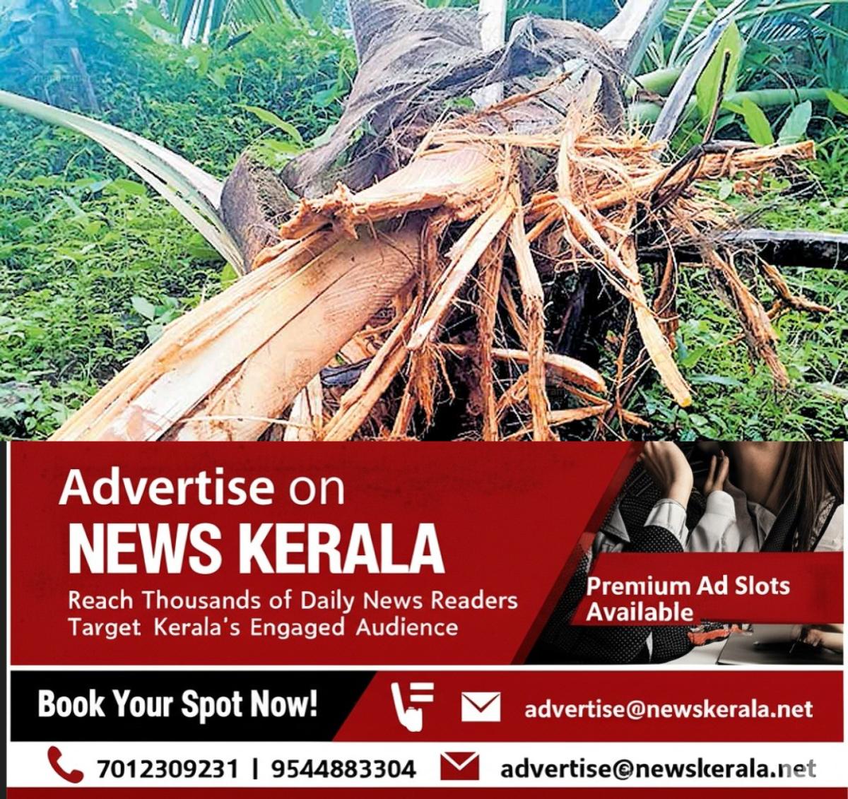 newskerala.net_1755601139_wild-boar-attack-kozhikode