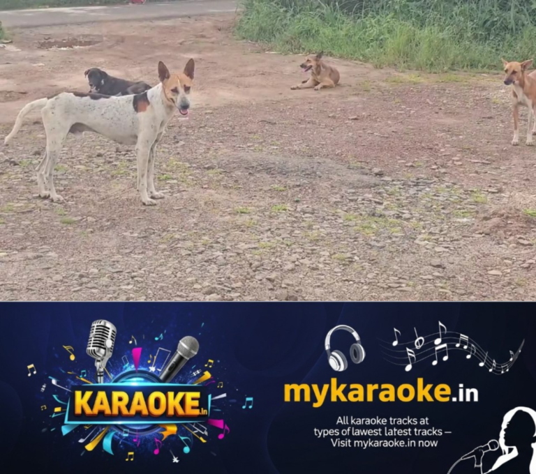 newskerala.net_1755621746_w-1280h-720format-jpgimgid-01k31j8gj455mw3sxz79rsmdppimgname-dog-attack-1-1755620590148