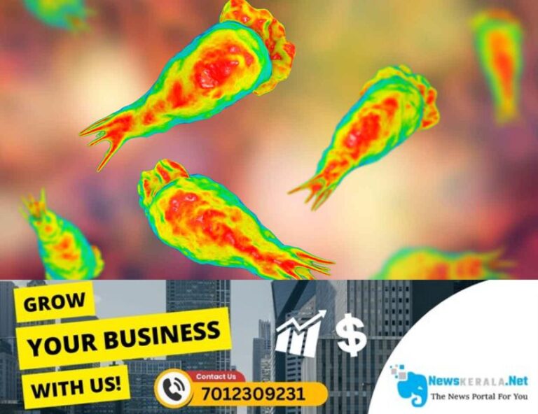 newskerala.net_1755650170_brain-eating-amoeba