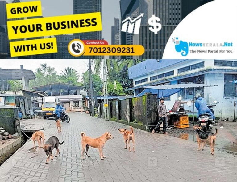 newskerala.net_1755668732_thrissur-vadakkanchery-stray-dog