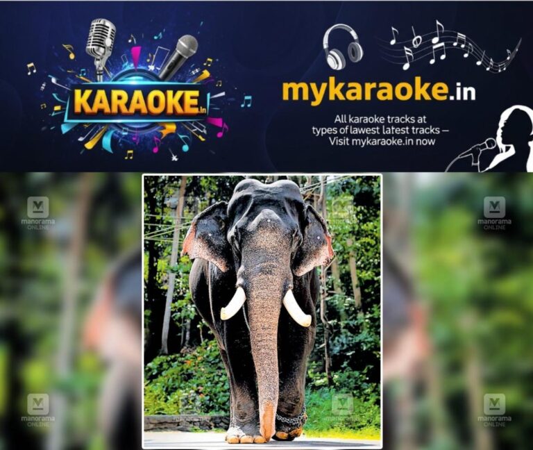 newskerala.net_1755683704_irattupetta-ayyappan