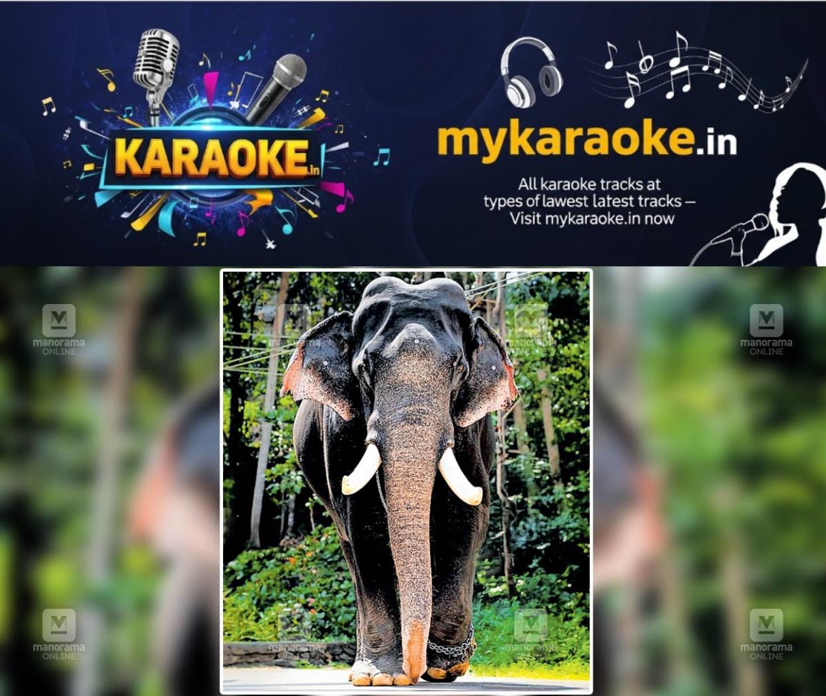 newskerala.net_1755683704_irattupetta-ayyappan