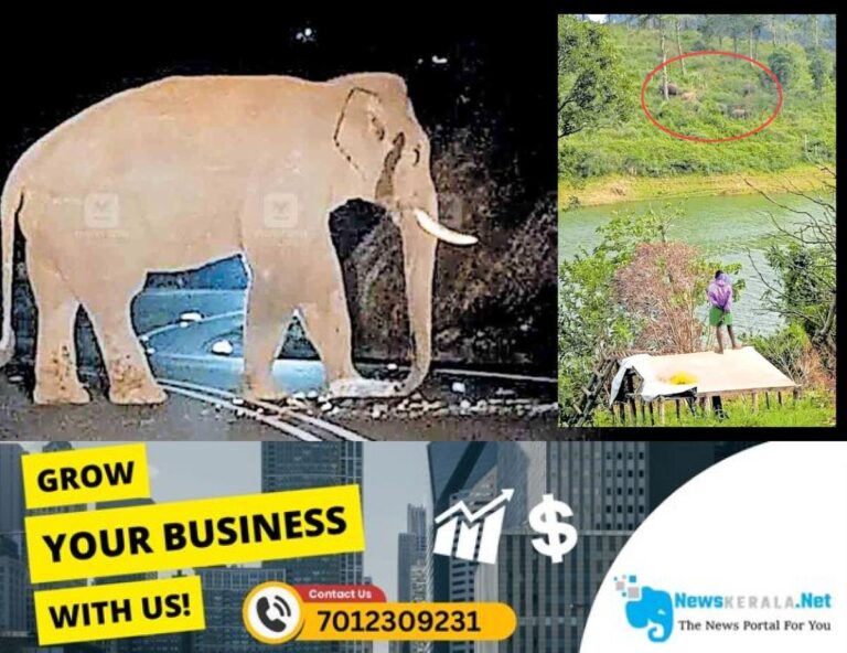 newskerala.net_1755684605_elephant-attack-chinnakanal