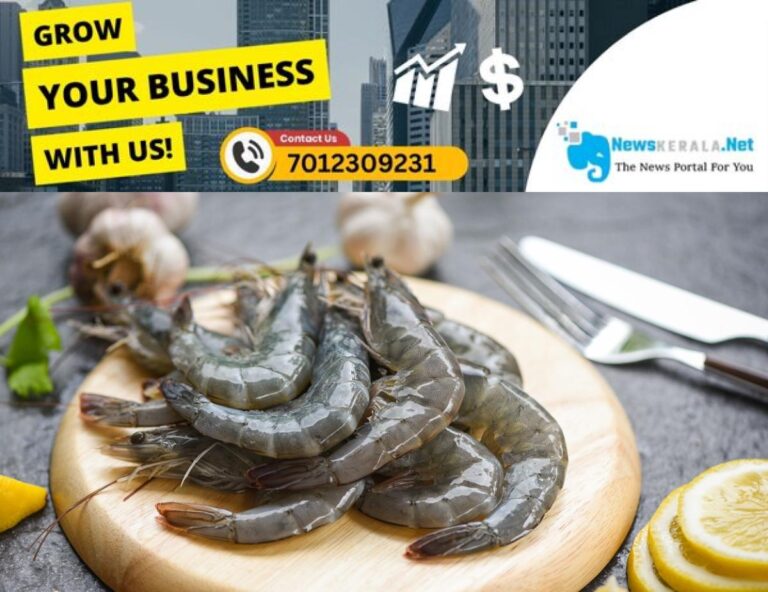 newskerala.net_1755693005_shrimp-india-main-1248