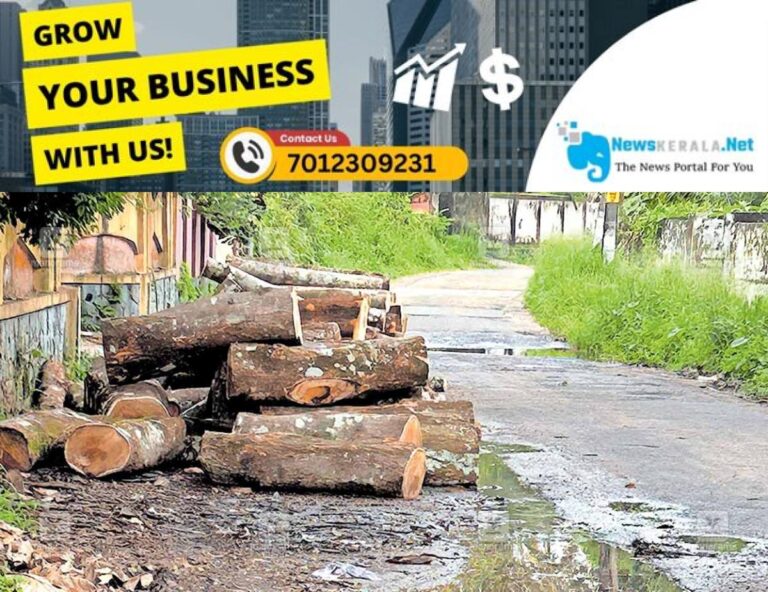 newskerala.net_1755703804_pta-thiruvalla-road-side-woods