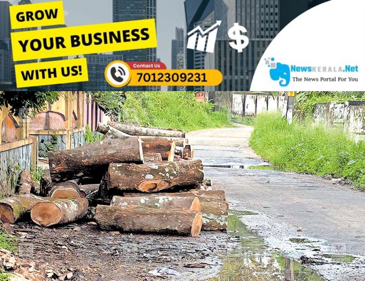 newskerala.net_1755703804_pta-thiruvalla-road-side-woods
