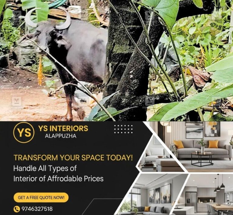 newskerala.net_1755744265_kaypamanghalam-buffallo