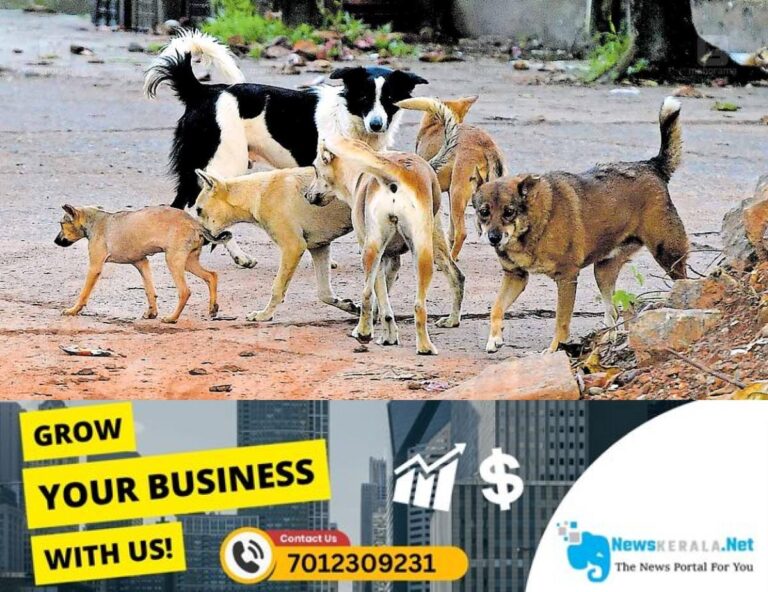 newskerala.net_1755747834_dog