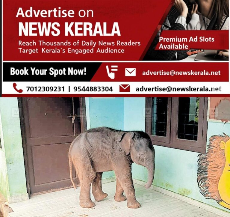 newskerala.net_1755771148_baby-elephant-footware-m