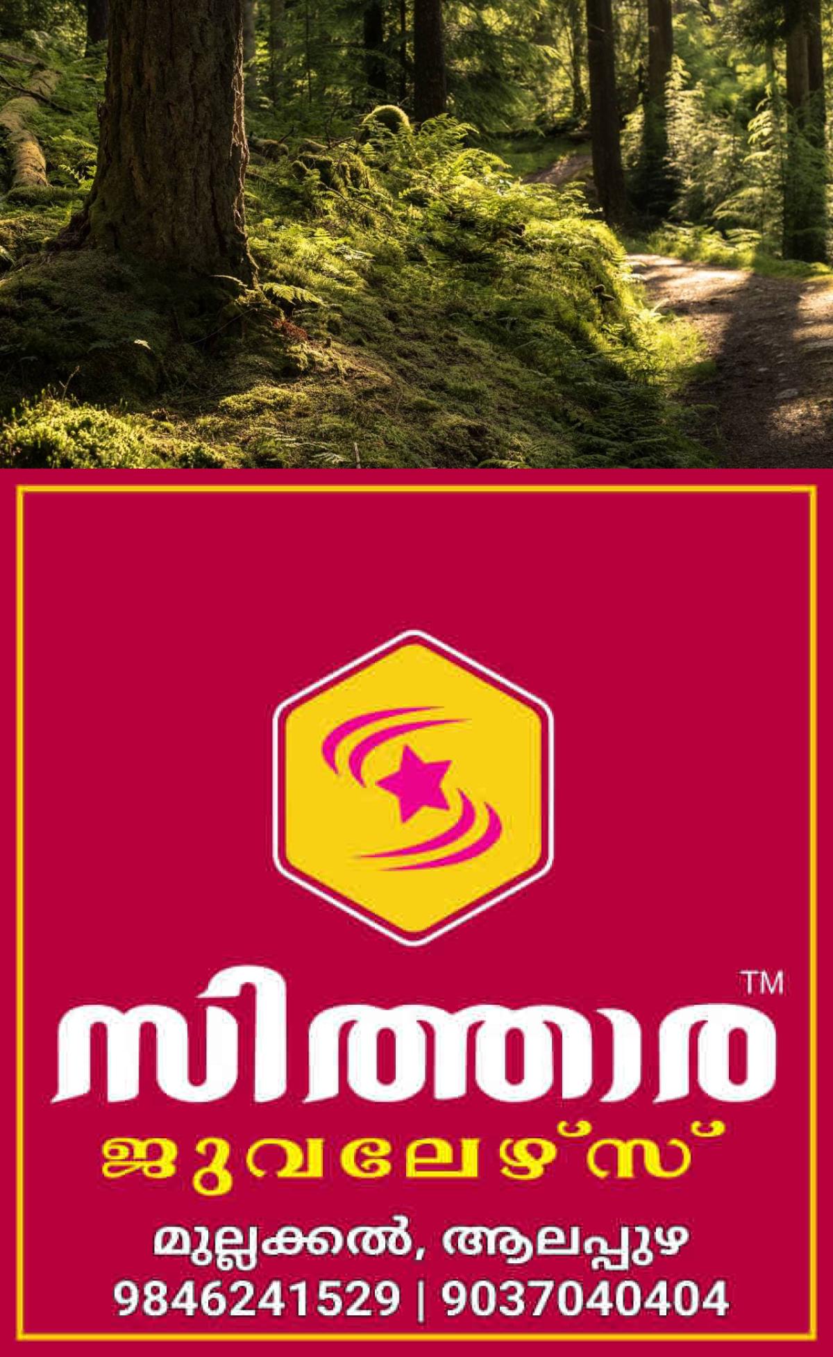 newskerala.net_1755786420_w-1280h-720format-jpgimgid-01k36frp6rf4e7b8e0k7029dd6imgname-new-project-4-1755785746648