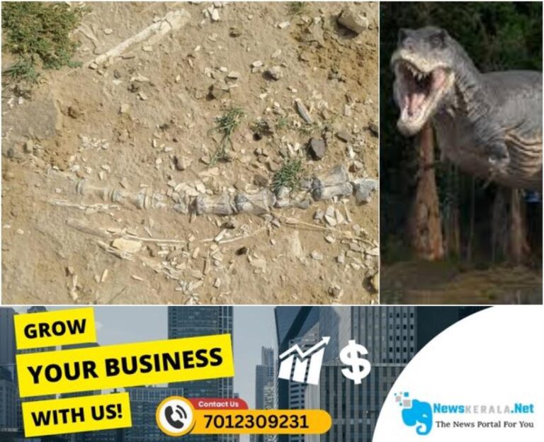 newskerala.net_1755790342_w-1280h-720format-jpgimgid-01k36k3wy19nxb13nqevf1a0x2imgname-dinosaur-1755789259713