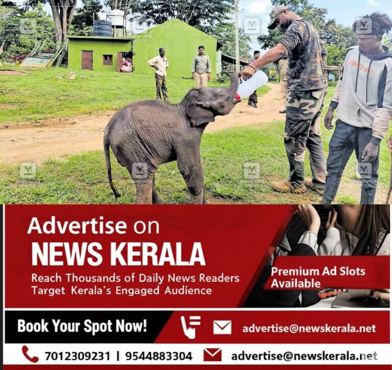 newskerala.net_1755808087_baby-elephant-issue