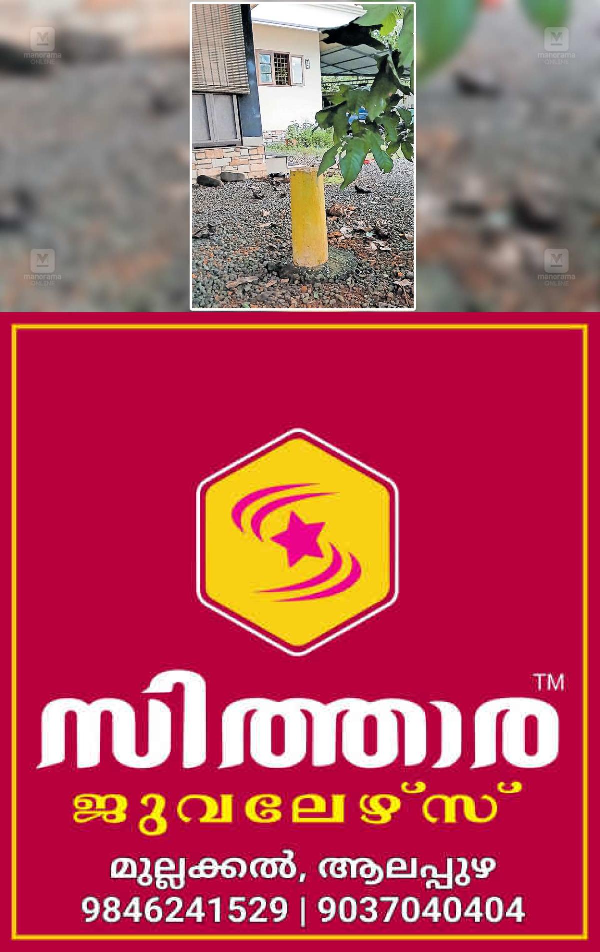 newskerala.net_1755810190_angamaly-village-office