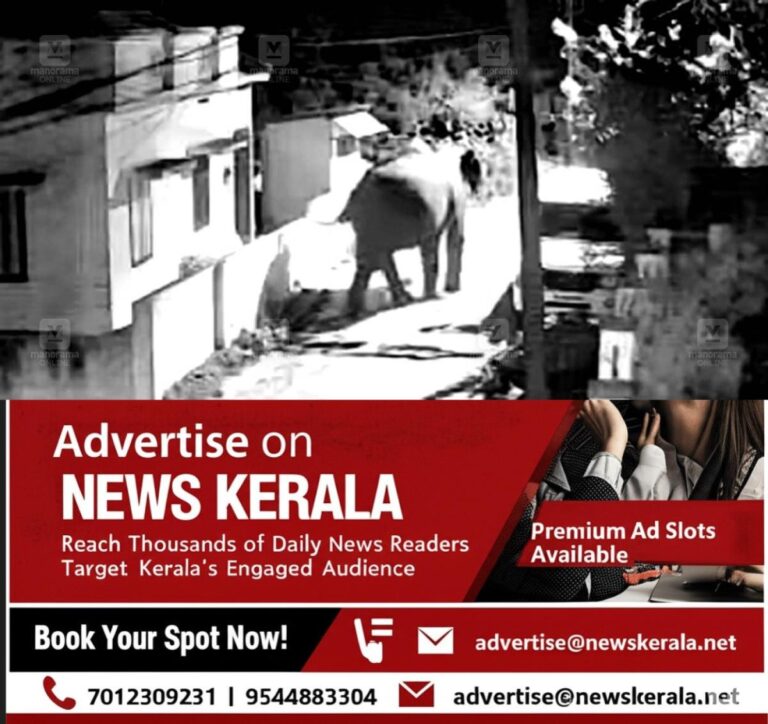 newskerala.net_1755813861_perumala-wild-elephant-attack
