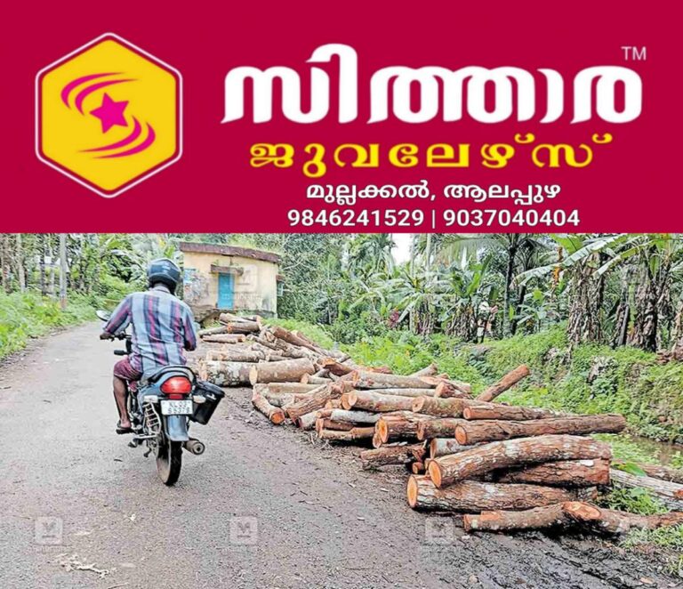 newskerala.net_1755813938_pta-madathupady-roadside-threat