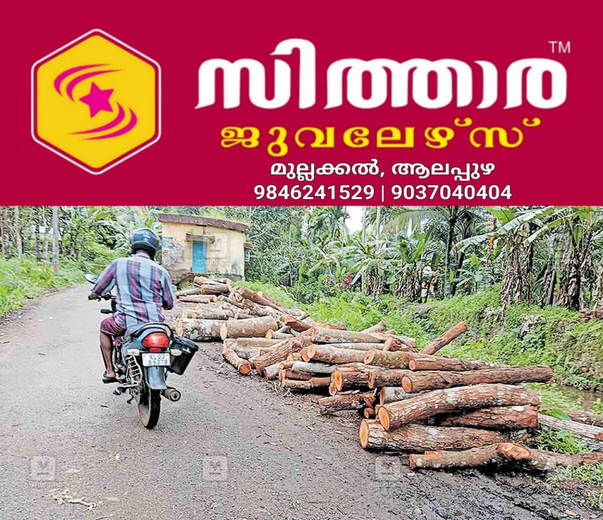 newskerala.net_1755813938_pta-madathupady-roadside-threat