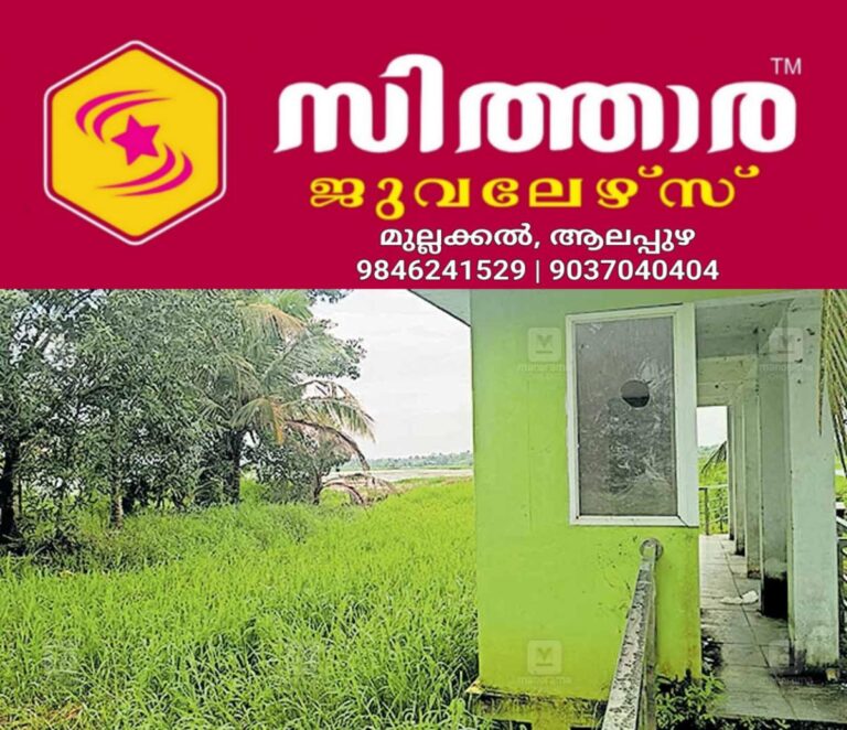 newskerala.net_1755836389_nelpurakkadavu-farm-tourism