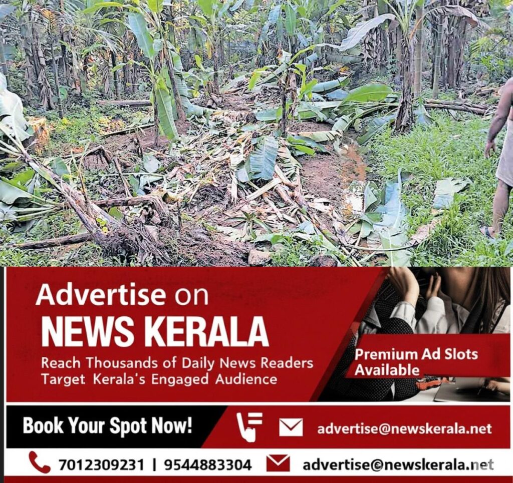 newskerala.net_1755844405_pta-chittar-wild-elephant-attack