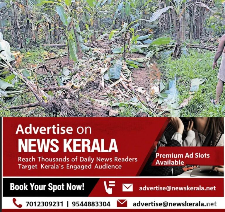 newskerala.net_1755844405_pta-chittar-wild-elephant-attack