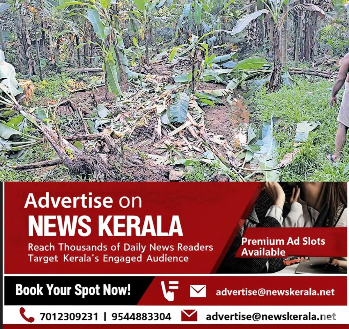 newskerala.net_1755844405_pta-chittar-wild-elephant-attack