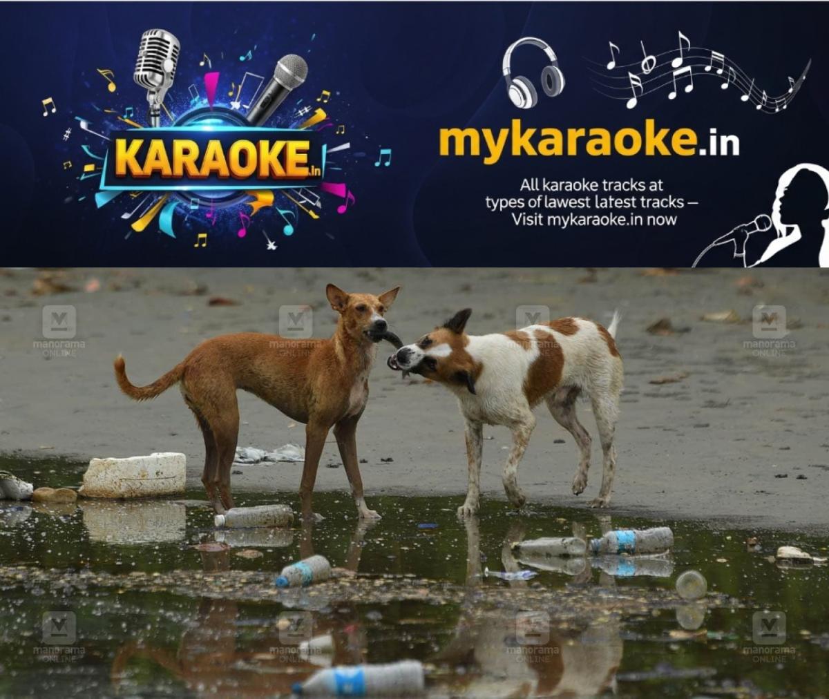 newskerala.net_1755847135_stray-dog-issue