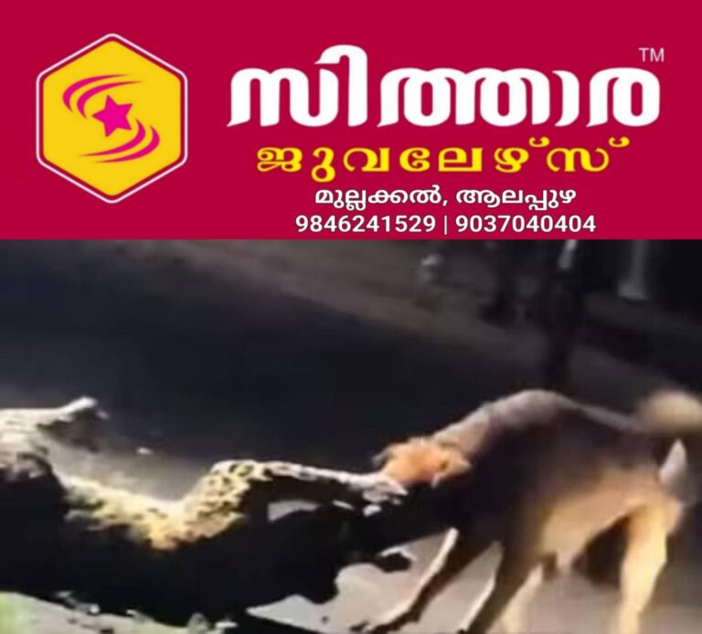 newskerala.net_1755890816_w-1280h-720format-jpgimgid-01k399meznr9907yhjk7jh4hypimgname-new-project-8-1755879980021